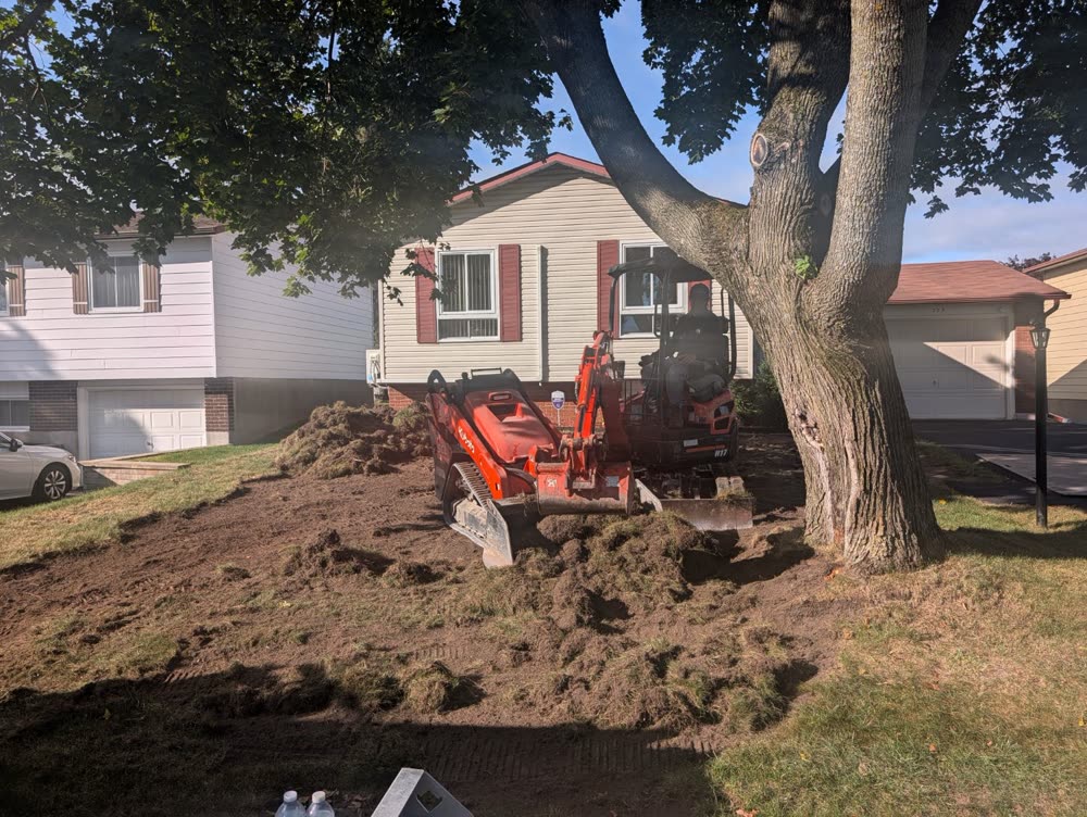 SD&G mini excavator and track loader stripping a tired front lawn in Cornwall, Ontario