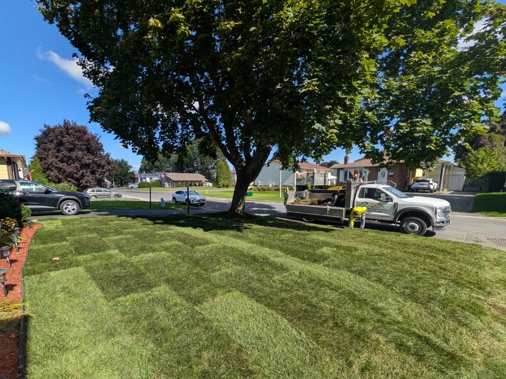 Front lawn renewed with fresh sod by SD&G Contracting in Cornwall, Ontario