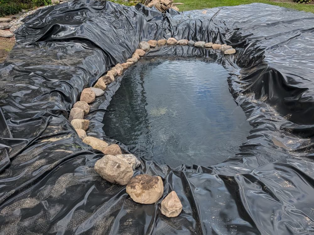 Ring of boulders set on the pond liner as the pond fills with water