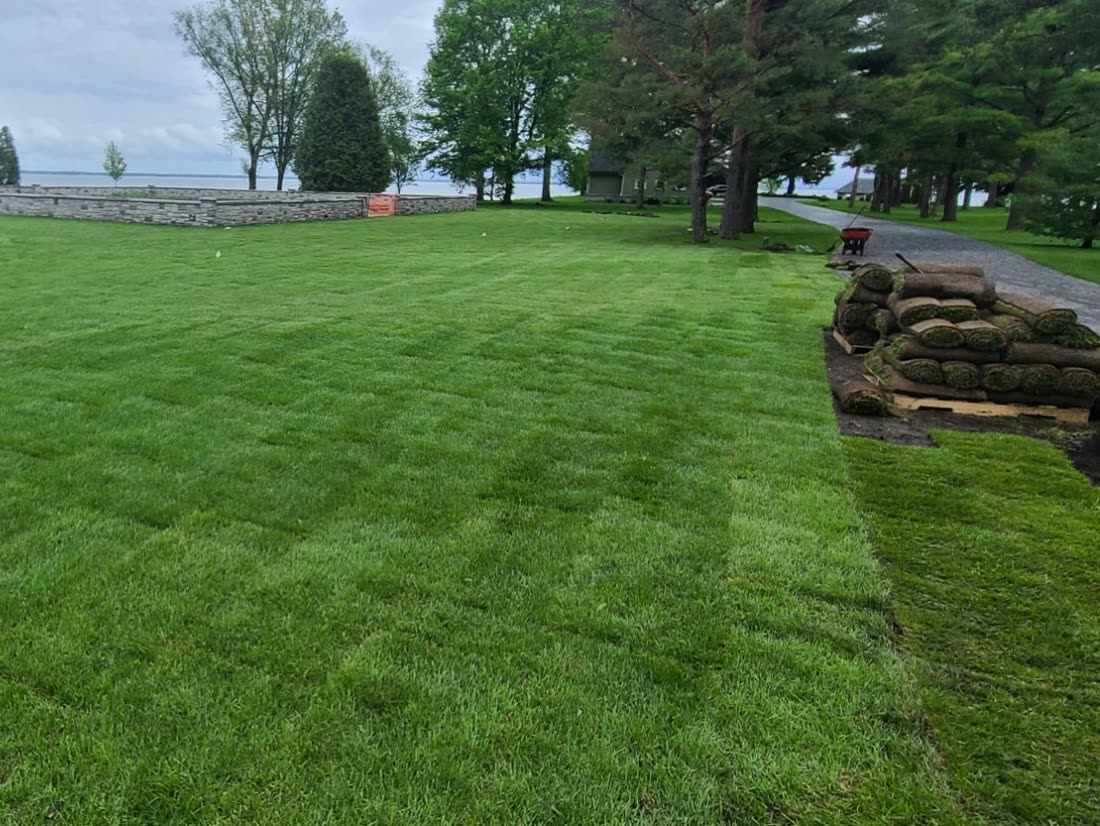 Just under 10,000 square feet of new sod laid by SD&G Contracting on a large waterfront property
